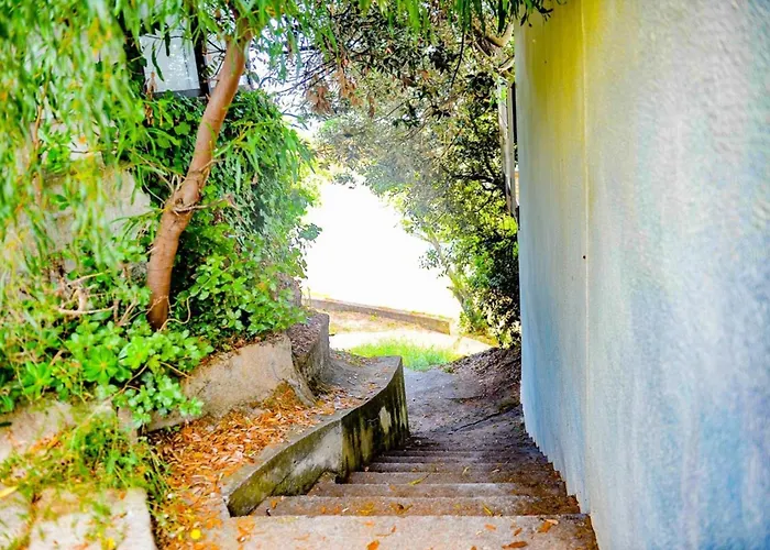 Sabali - D'argent At 100m - By Tgb Coti-Chiavari (Corsica)