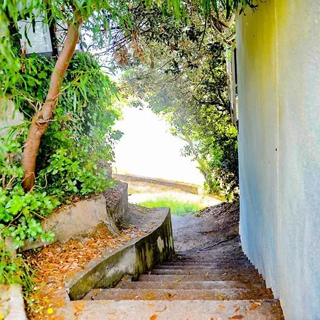 Sabali - D'argent At 100m - By Tgb Coti-Chiavari (Corsica)