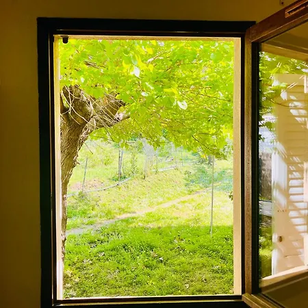 Sabali - D'argent At 100m - By Tgb