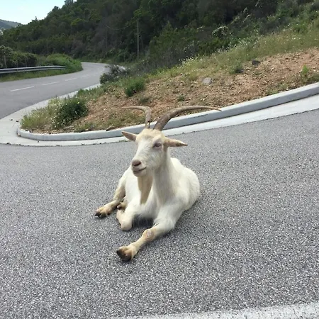 Σπίτι διακοπών Sabali - D'argent At 100m - By Tgb