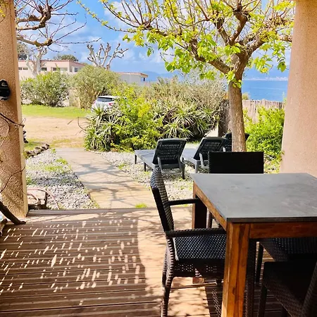 Sabali - D'argent At 100m - By Tgb *