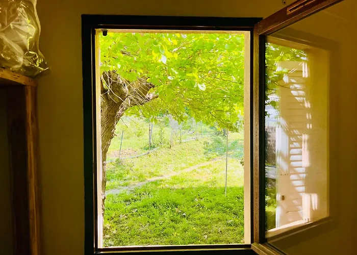 Sabali - D'argent At 100m - By Tgb