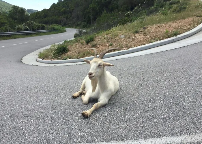 度假居 Sabali - D'argent At 100m - By Tgb